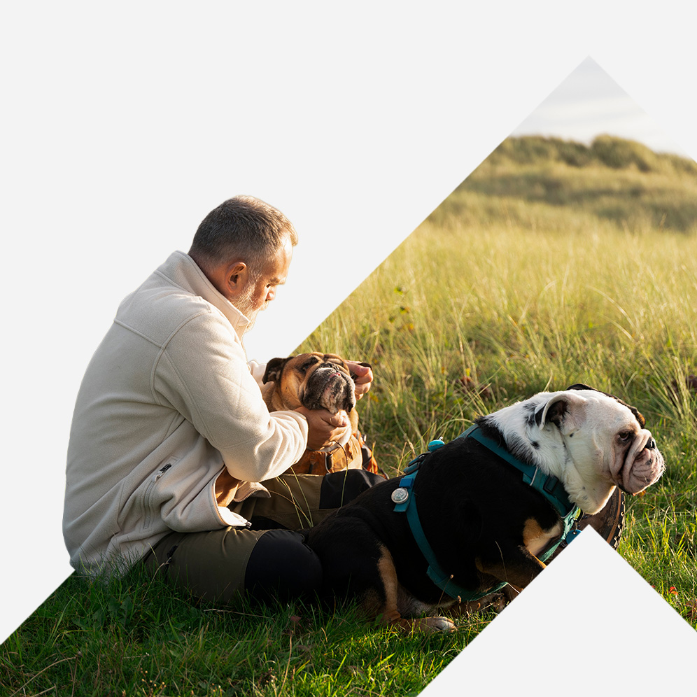 A man sitting on grass in nature with his two dogs